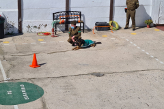 Presentacion-perros-de-carabineros-01