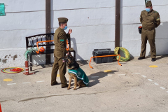 Presentacion-perros-de-carabineros-03
