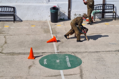 Presentacion-perros-de-carabineros-08