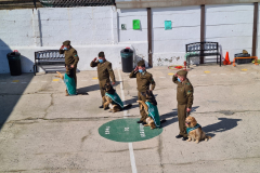 Presentacion-perros-de-carabineros-11