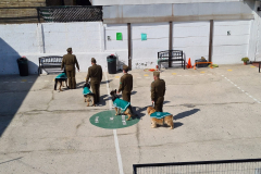 Presentacion-perros-de-carabineros-12