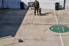Presentacion-perros-de-carabineros-13